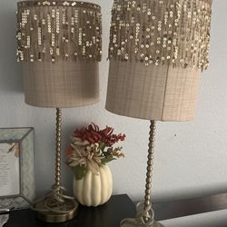 Two Lamps  Really Good Condition 
