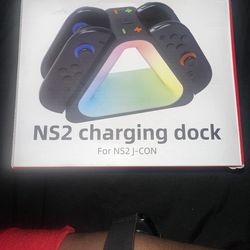 NS2 charging dock