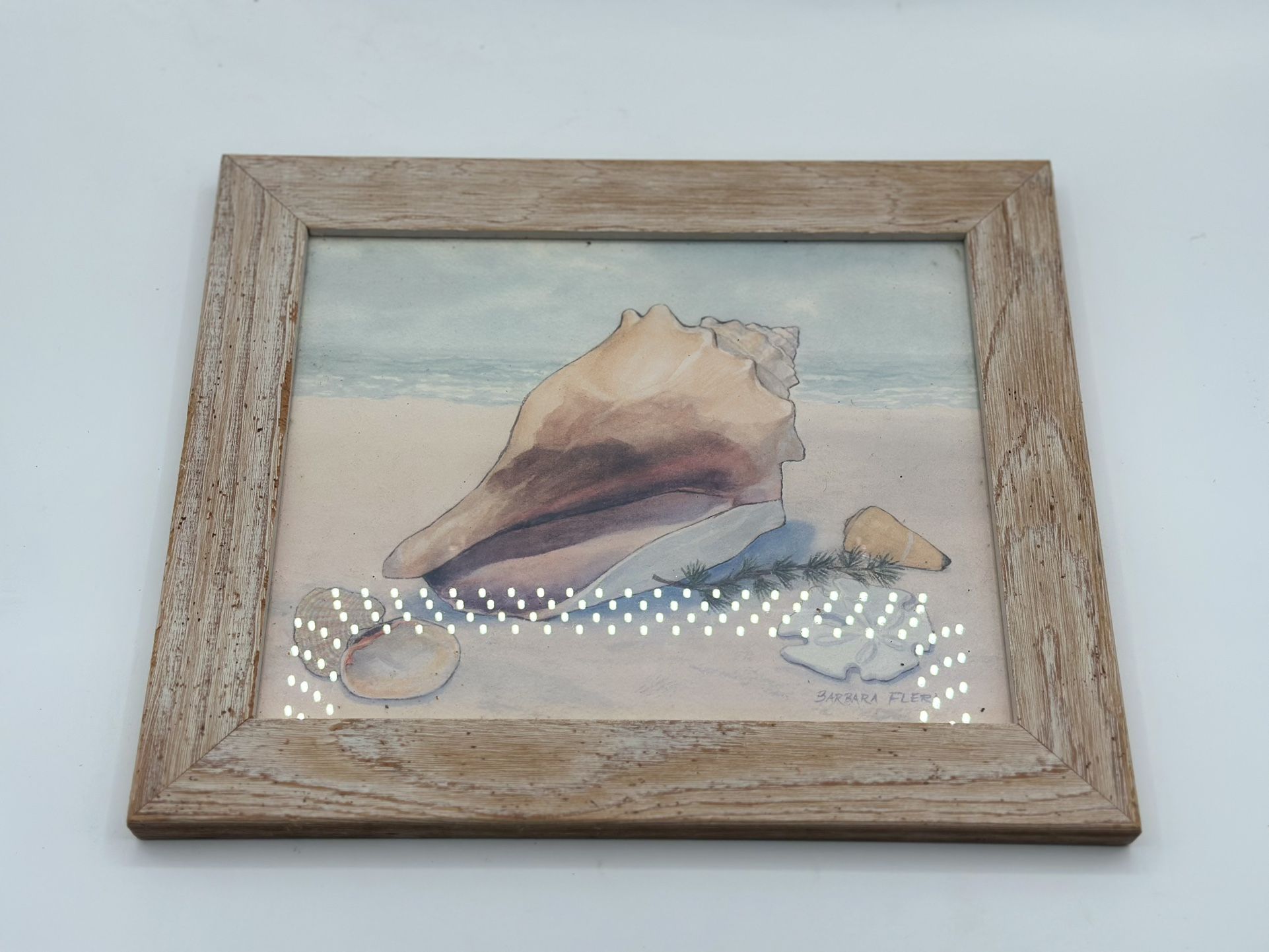 🖼️BARBARA FLERI BEACH SEASHELL PRINT SIGNED 🖼️