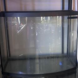 Fish Tank Pecera