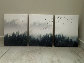 Wall Art ($15 or best offer)
