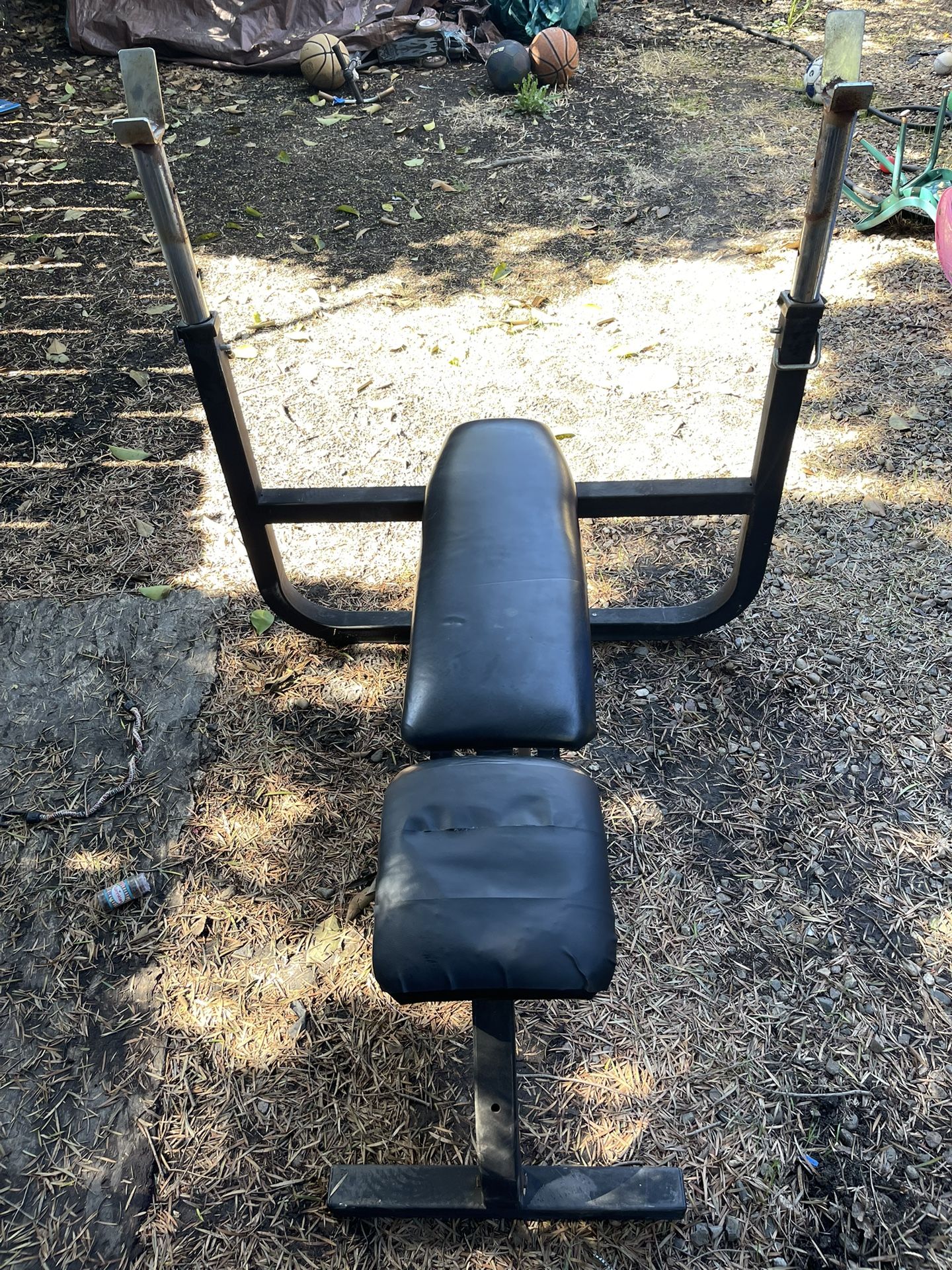 Workout Bench