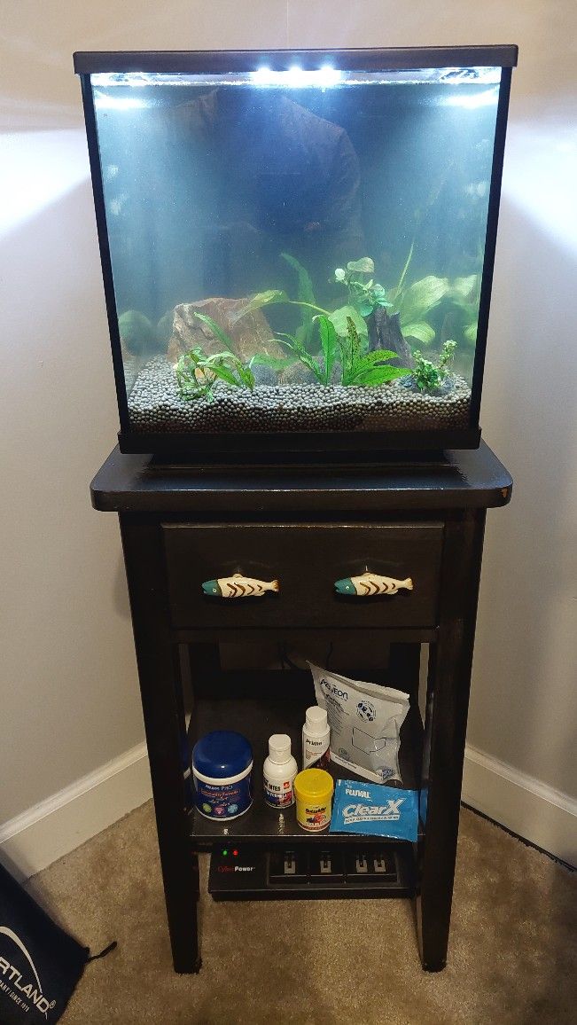 6.8 Gal Plant & Shrimp Aquarium 