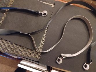 2 Dog Leash Walks Two Dogs