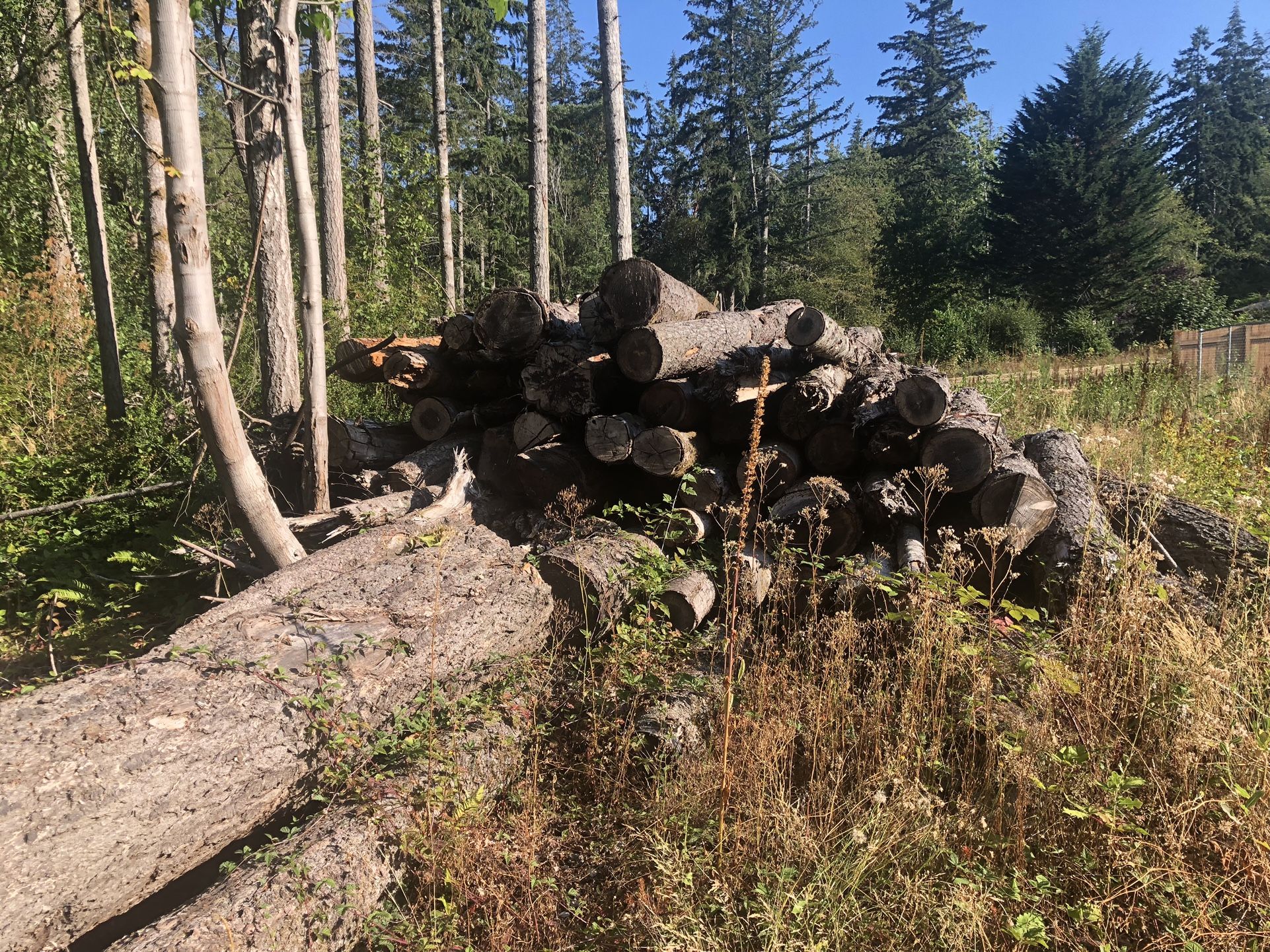 Seasoned Ready To Burn Firewood