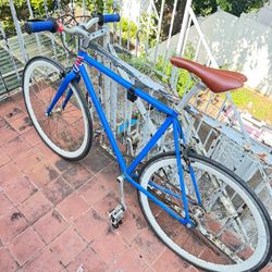 Blue Single Speed/Fixed Gear Bike 700C Rim Brake No Suspension Brown Saddle