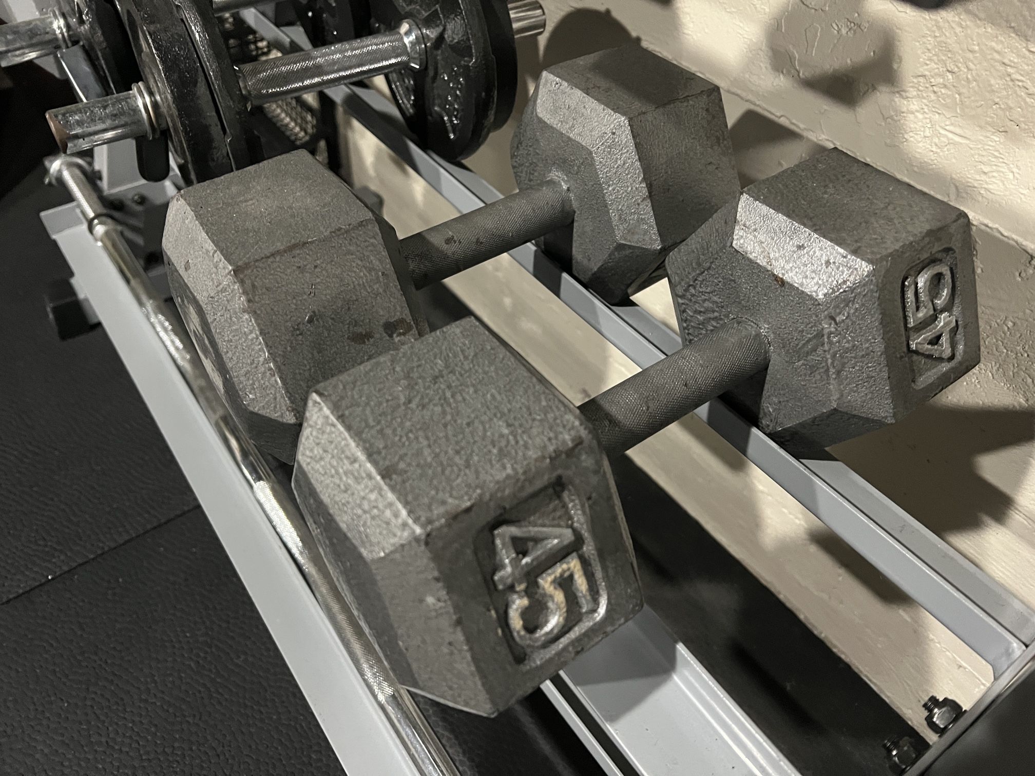 45lb Dumbbells
