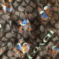 Authentic Coach Brown Scarf