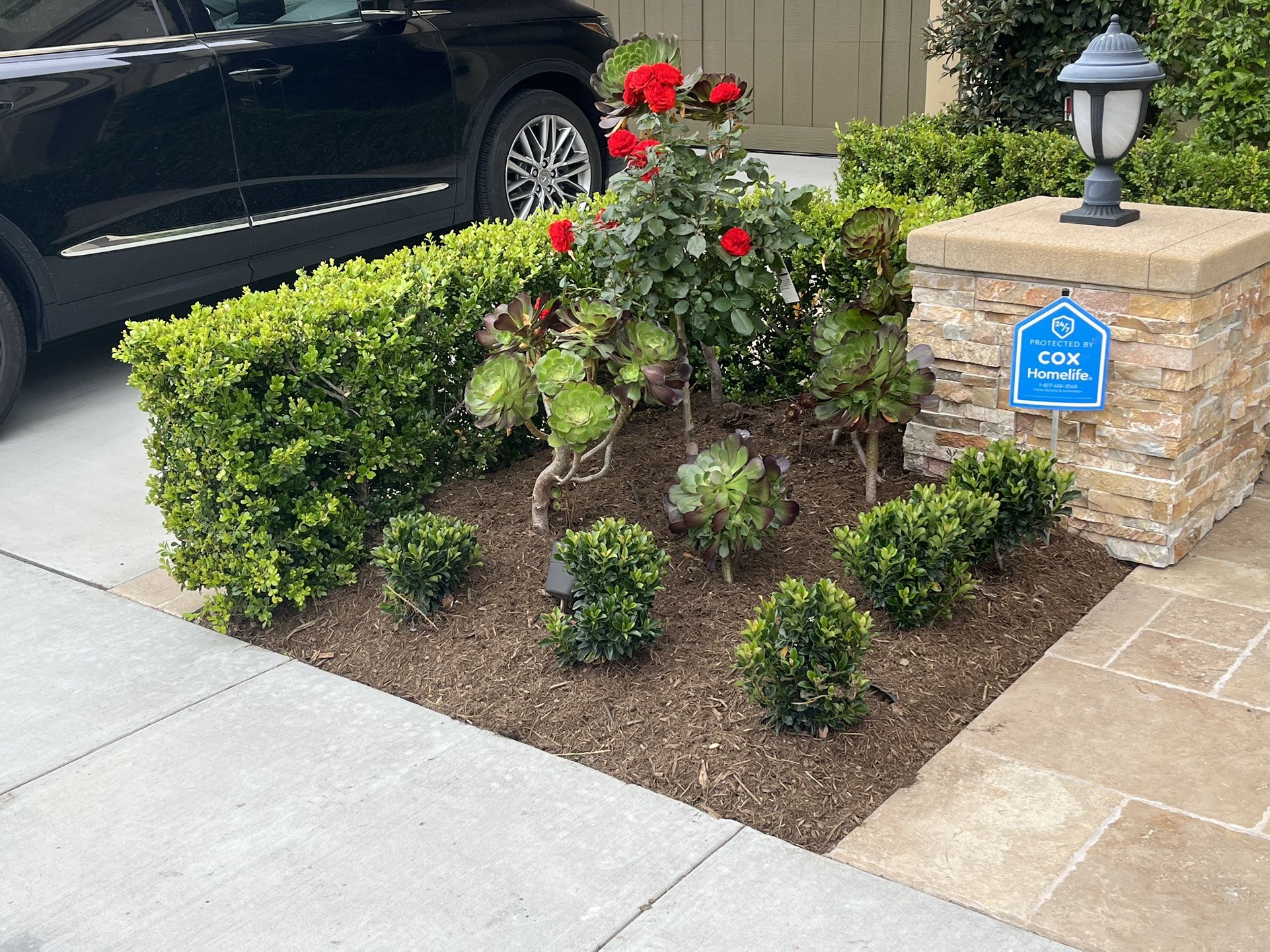 Gardening Services