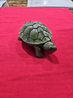 Hide A Key Turtle