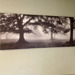 Art work - Misty Woodland Forest in B&W - Perfect Condition