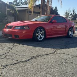 2003 Mustang Cobra 10th Anniversary 