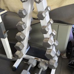 Dumbbell Set With Rack