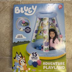 Bluey Playland