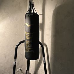 Punching bag and stand Everlast
