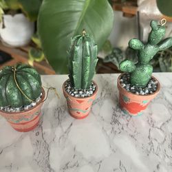 3 Cactus Succulents Christmas Ornaments 