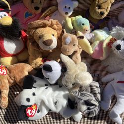Beanie Baby & Stuff Animals 