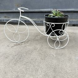 Tricycle Bike’s Arrangements $