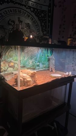 55 Gal Reptile Tank