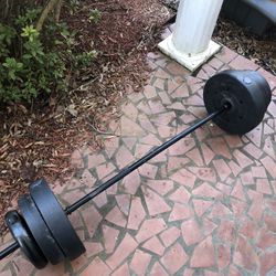 100 Lbs and Bar