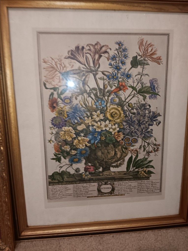 Months Of Flowers Month Of OCTOBER