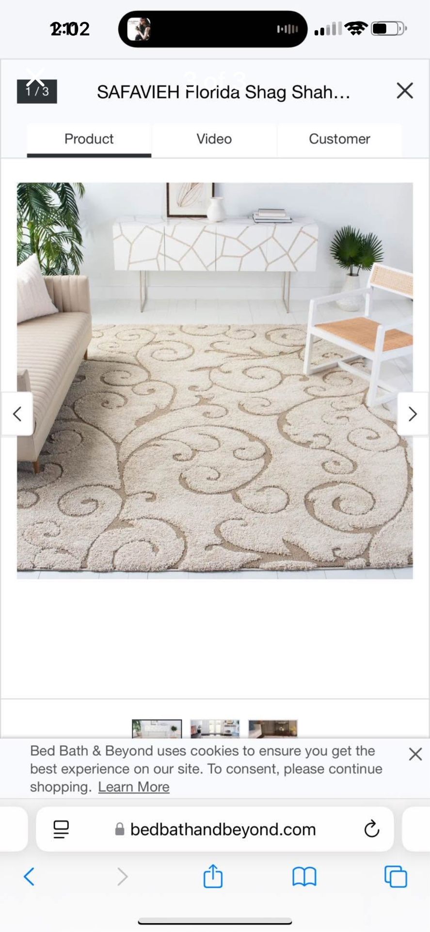 8x10 Safavieh Rug