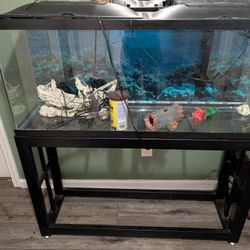 Big Fish Tank With Filter, Lights, Temp Reader And Stand