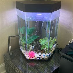 Pecera Fish tank 