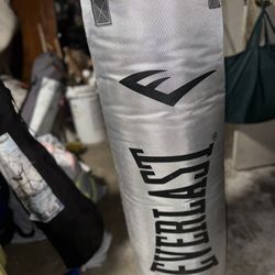 Everlast Boxing Bag
