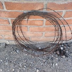 Rusty Barbed Wire for Craft DIY Decor