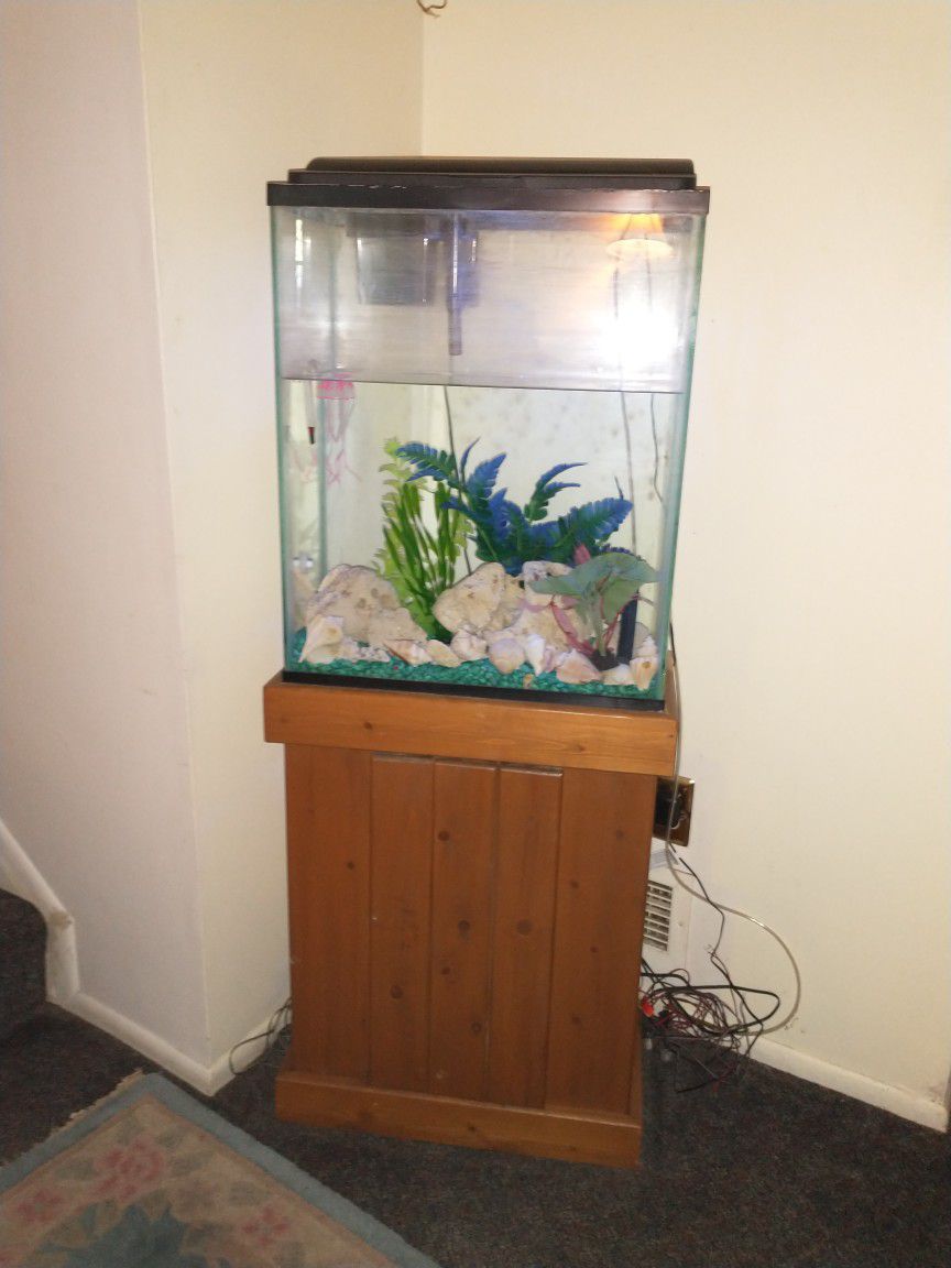 Fish Tank With Stand 20gallon Tall