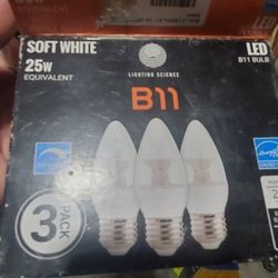 Bulbs 