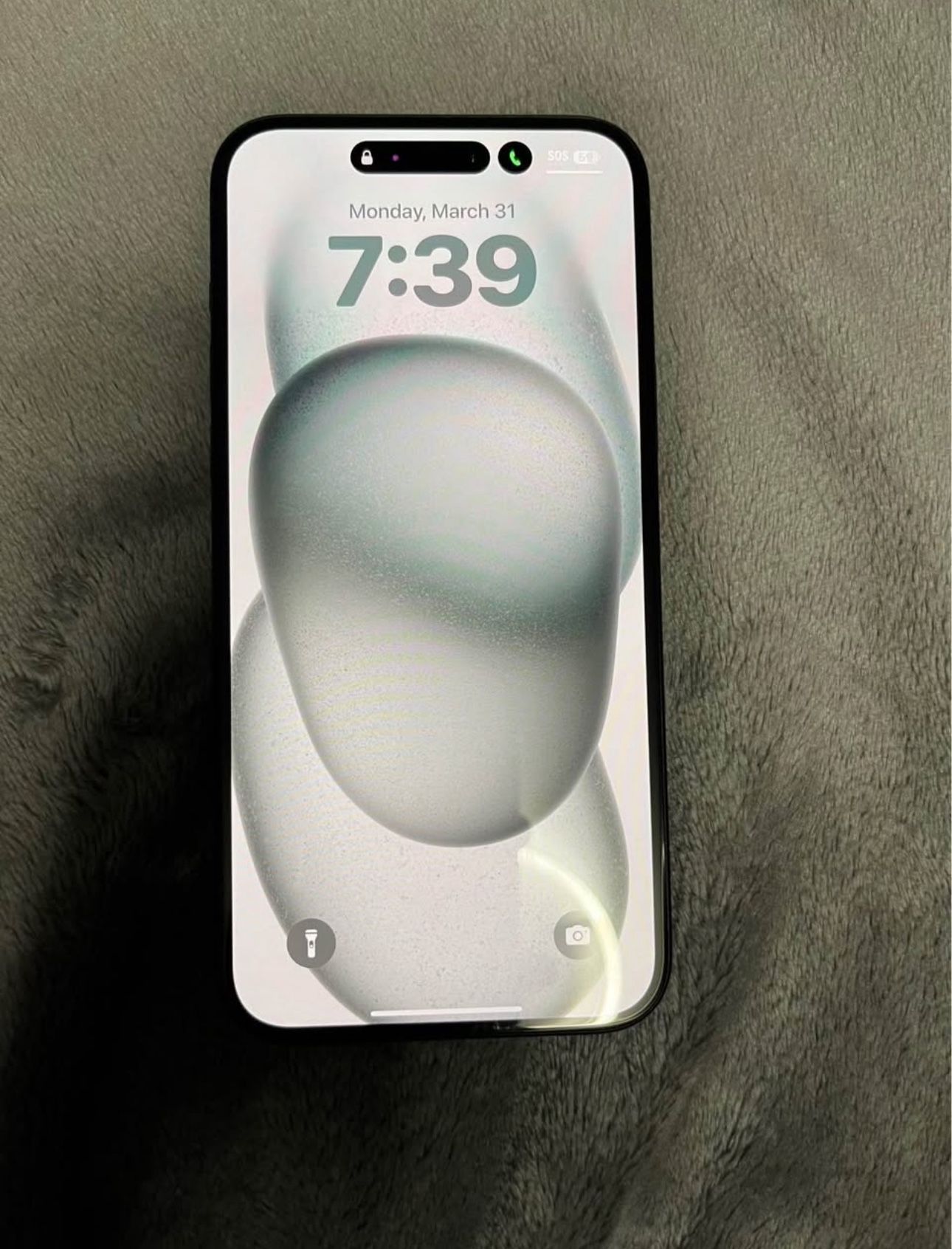 iPhone 15 Plus