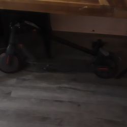 Ninebot Scooter