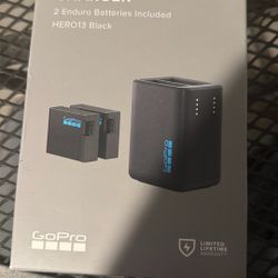 Go Pro Dual Battery Charger