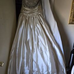 Champaign Wedding Dress 