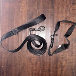 Dog Collar And Leash 