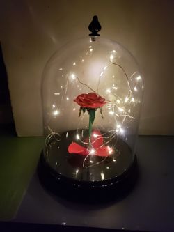 Flower Dome