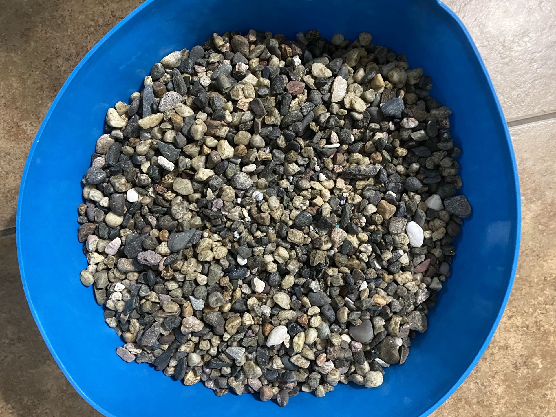 Fish tank, natural gravel