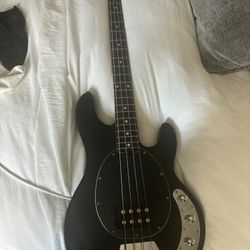 StingRay Ray4 