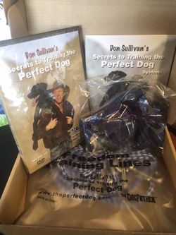 Don Sullivan’s Secret to Training the Perfect Dog System 