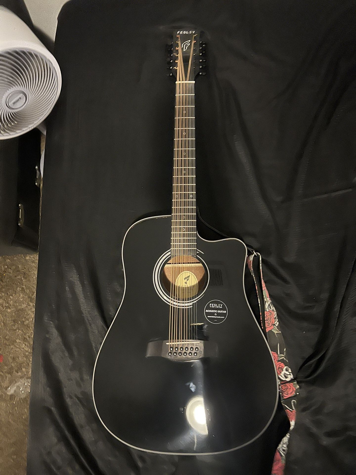 Fesley 12 String Guitar