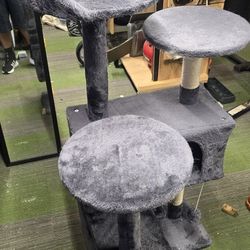 Cat Studio  Condo  Tree