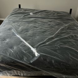 Brand new Queen Size Bed plastic still on mattress
