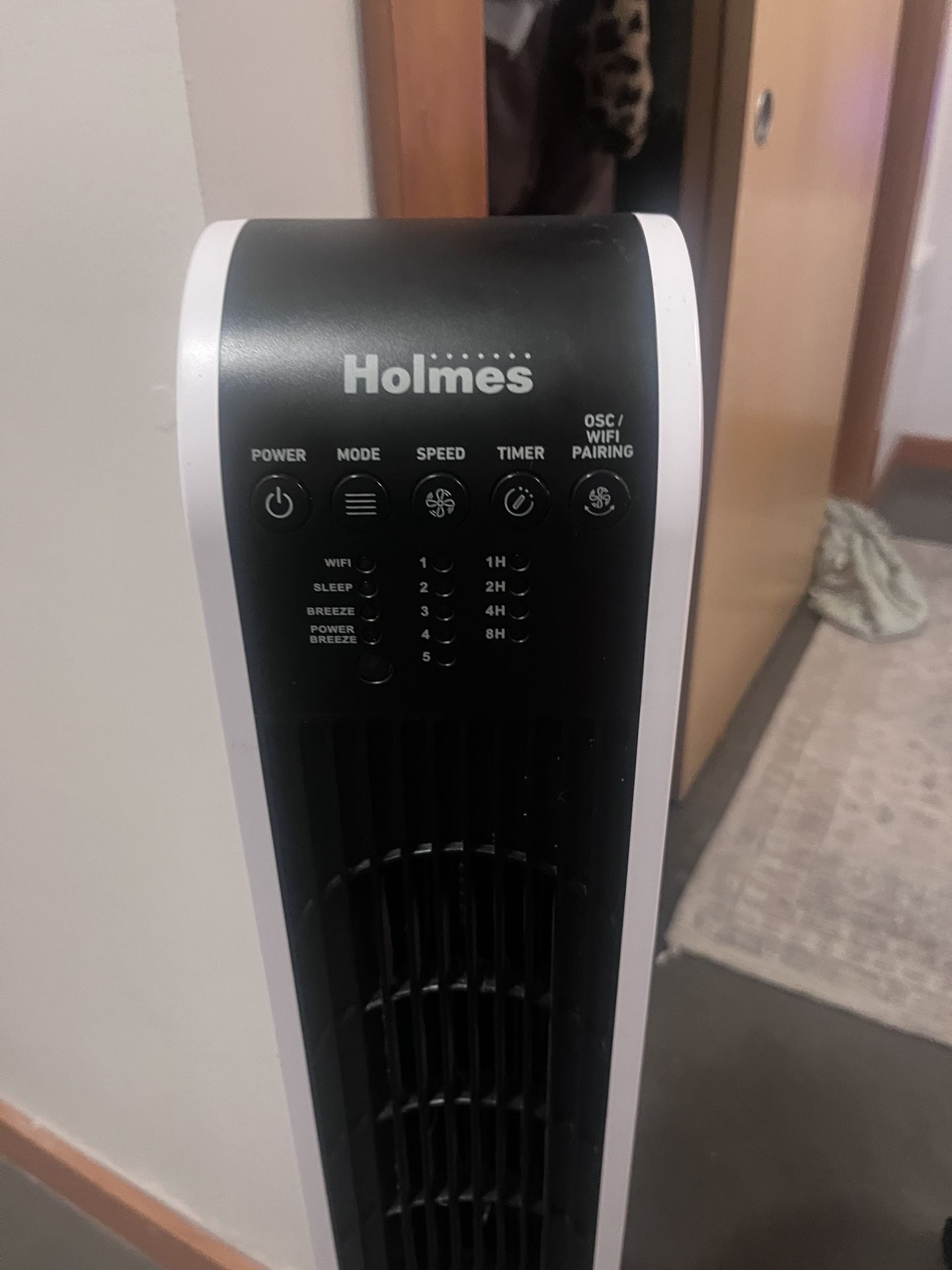 Holmes Tower Fan