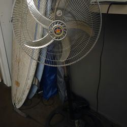 Fan
