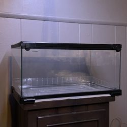 small reptile terrarium 