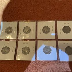 Buffalo Nickels 