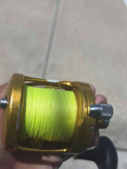 Gold Avet MXL(non mc)