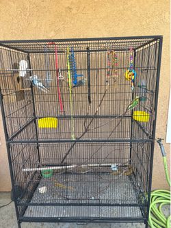 Cage